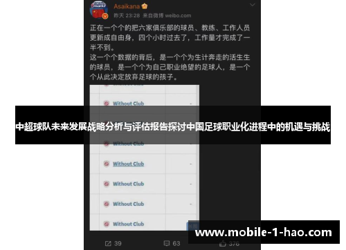中超球队未来发展战略分析与评估报告探讨中国足球职业化进程中的机遇与挑战