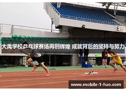 大禹学校乒乓球赛场再创辉煌 成就背后的坚持与努力