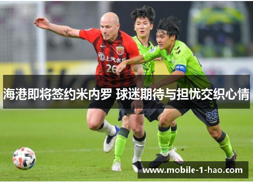 海港即将签约米内罗 球迷期待与担忧交织心情