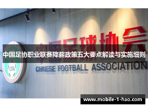 中国足协职业联赛降薪政策五大要点解读与实施细则