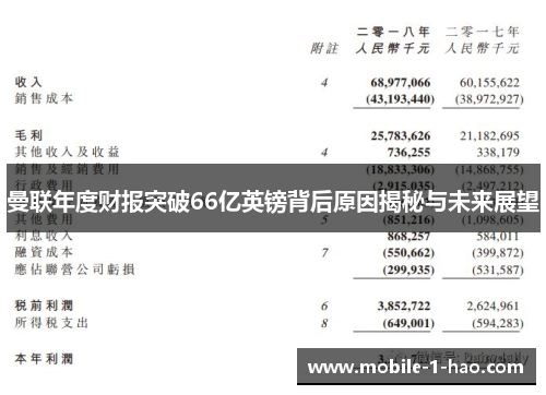 曼联年度财报突破66亿英镑背后原因揭秘与未来展望