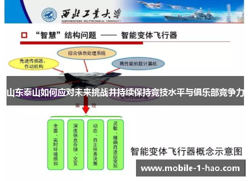 山东泰山如何应对未来挑战并持续保持竞技水平与俱乐部竞争力