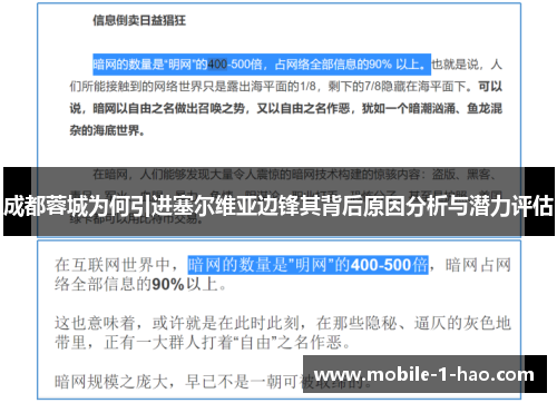成都蓉城为何引进塞尔维亚边锋其背后原因分析与潜力评估
