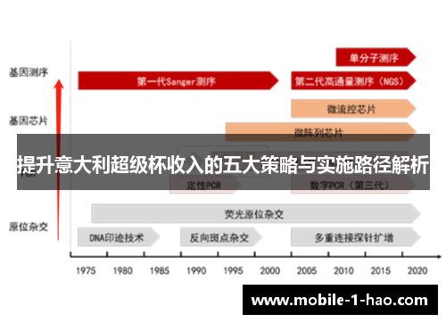 提升意大利超级杯收入的五大策略与实施路径解析