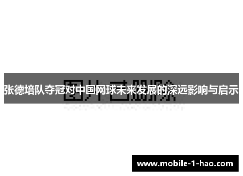 张德培队夺冠对中国网球未来发展的深远影响与启示