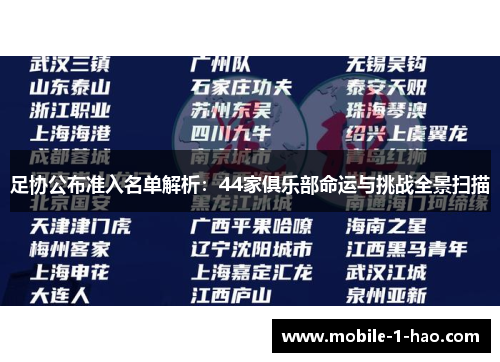 足协公布准入名单解析：44家俱乐部命运与挑战全景扫描