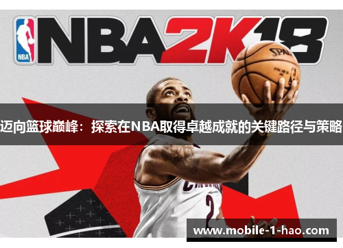 迈向篮球巅峰：探索在NBA取得卓越成就的关键路径与策略