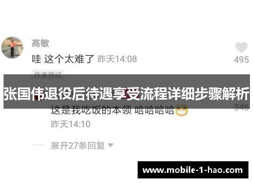 张国伟退役后待遇享受流程详细步骤解析