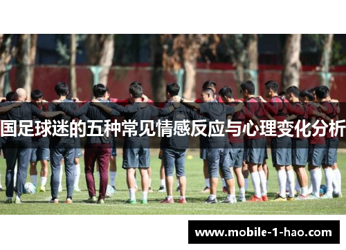 国足球迷的五种常见情感反应与心理变化分析