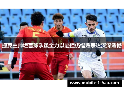 捷克主帅坦言球队虽全力以赴但仍惜败表达深深遗憾