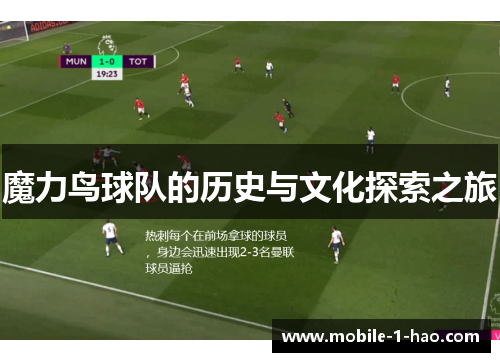 魔力鸟球队的历史与文化探索之旅
