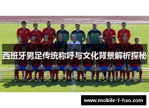 西班牙男足传统称呼与文化背景解析探秘