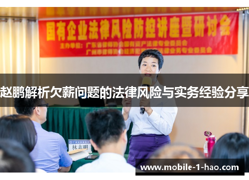 赵鹏解析欠薪问题的法律风险与实务经验分享 赵鹏解析欠薪问题的法律风险与实务经验分享