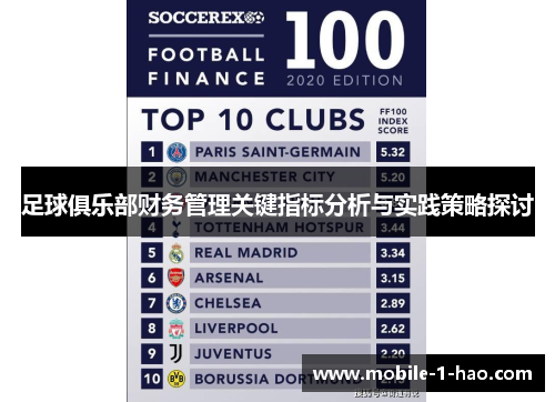 足球俱乐部财务管理关键指标分析与实践策略探讨 足球俱乐部财务管理关键指标分析与实践策略探讨