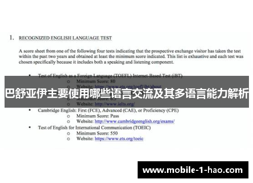 巴舒亚伊主要使用哪些语言交流及其多语言能力解析 巴舒亚伊主要使用哪些语言交流及其多语言能力解析