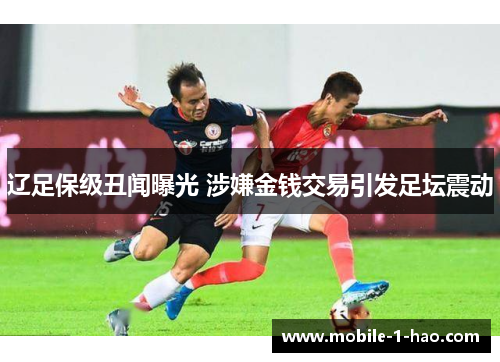 辽足保级丑闻曝光 涉嫌金钱交易引发足坛震动