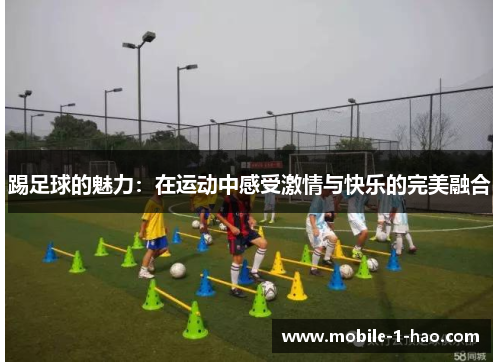 踢足球的魅力：在运动中感受激情与快乐的完美融合