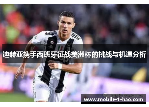 迪赫亚携手西班牙征战美洲杯的挑战与机遇分析