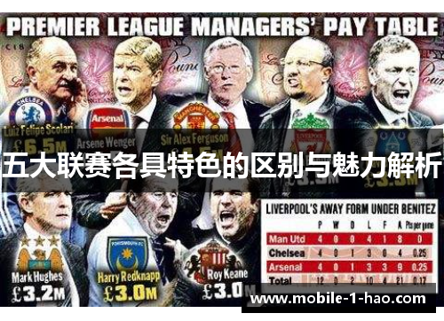 五大联赛各具特色的区别与魅力解析